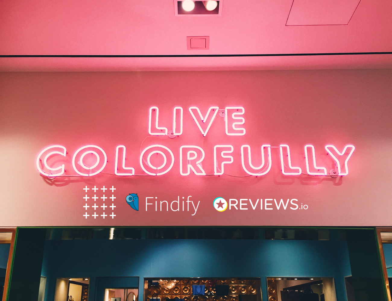 How Cosmetic Capital have enhanced their customer experience with reviews REVIEWS.io